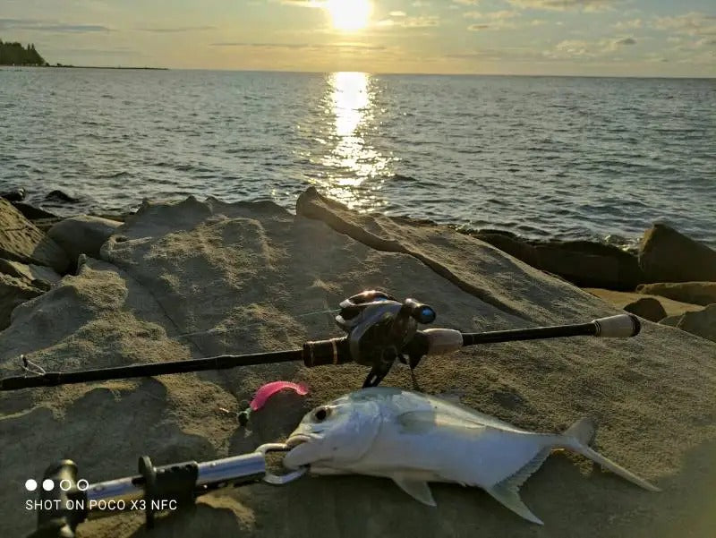 Canne a pêche brochet