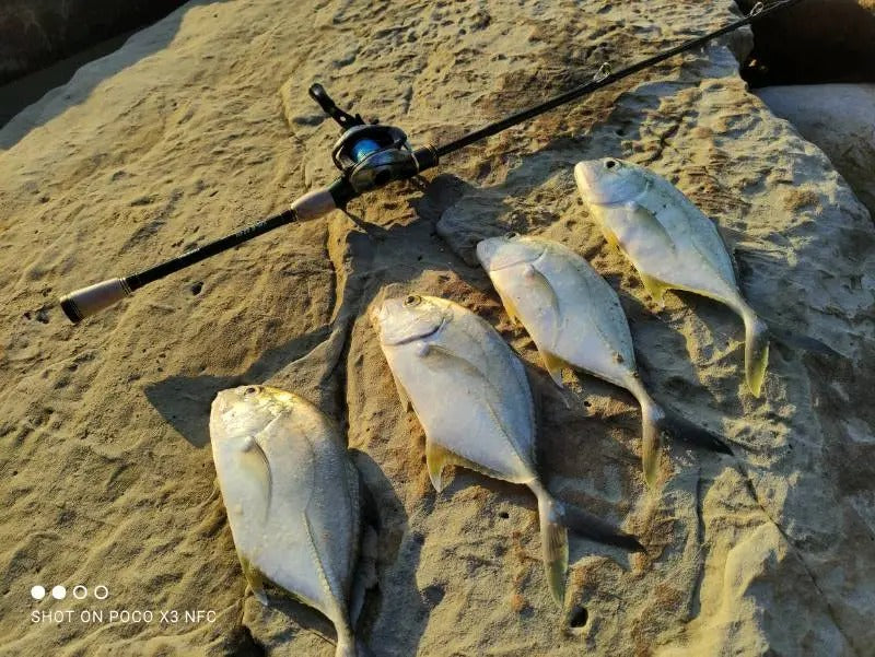 Canne a pêche brochet verte
