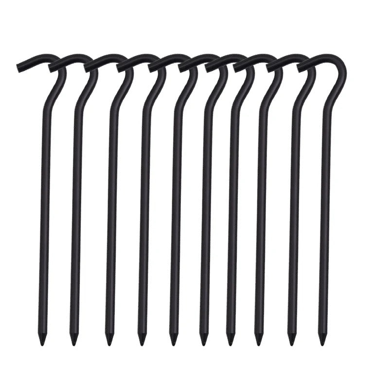 10 piquets de tente sol dur