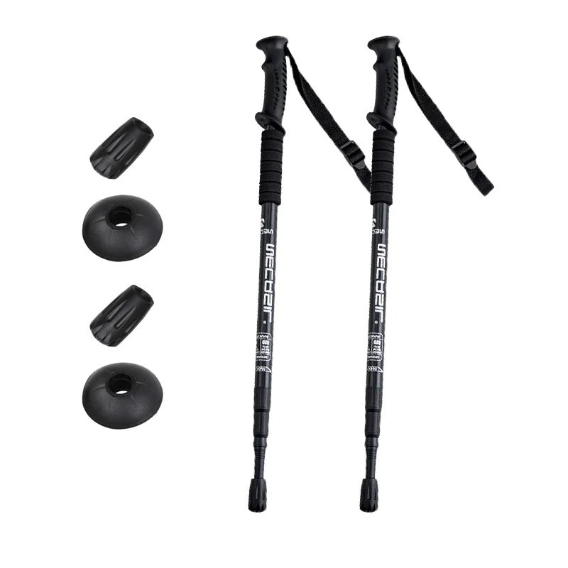 Bâtons de trekking noir