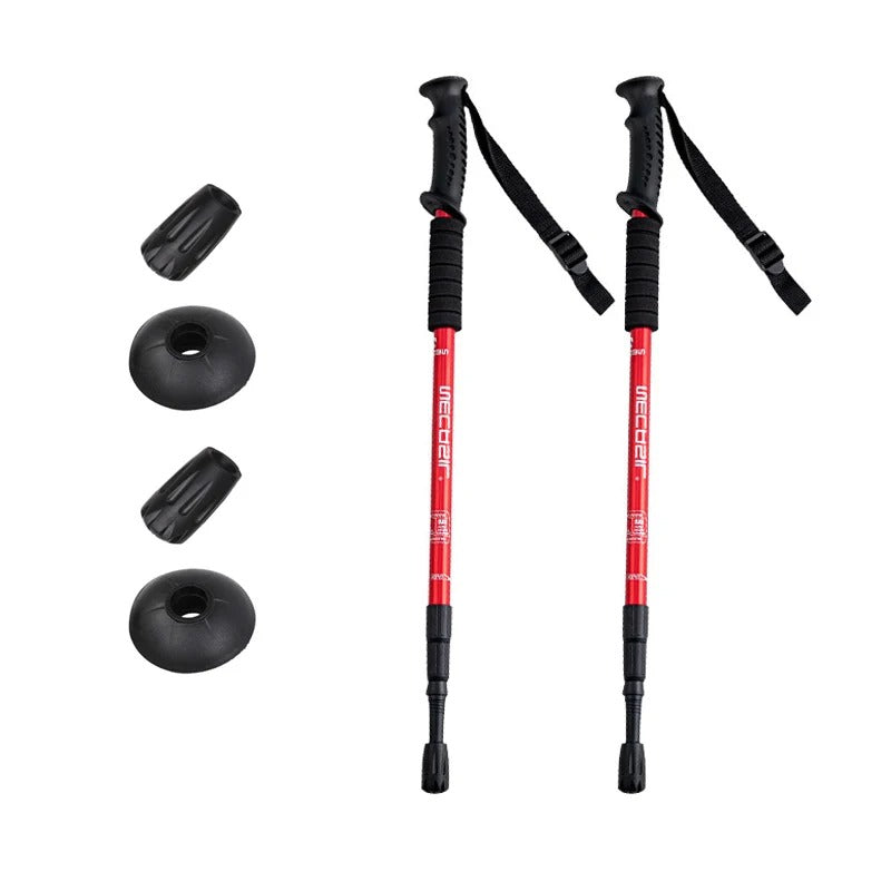 Bâtons de trekking "Amod"