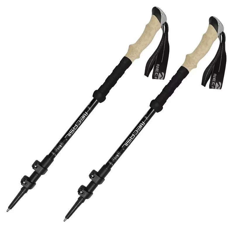 Baton de trek noir